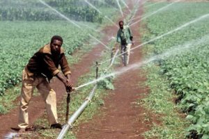 L’Afrique pourrait être le grenier de la planète