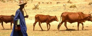 Burundi nécessité d’une stratégie de résilience climatique