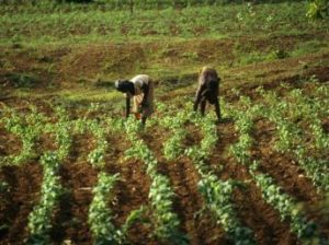 Burkina Faso une bonne croissance économique