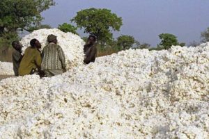 coton-Bénin