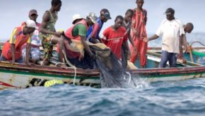 bateau-pirates-kayar-senegal