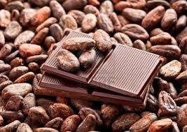 feve-cacao-cameroun