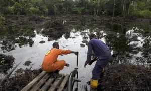 shell-delta-niger