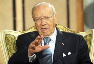 caidi-sebsi